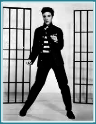 elvis tour from uk